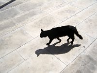 Foto 033